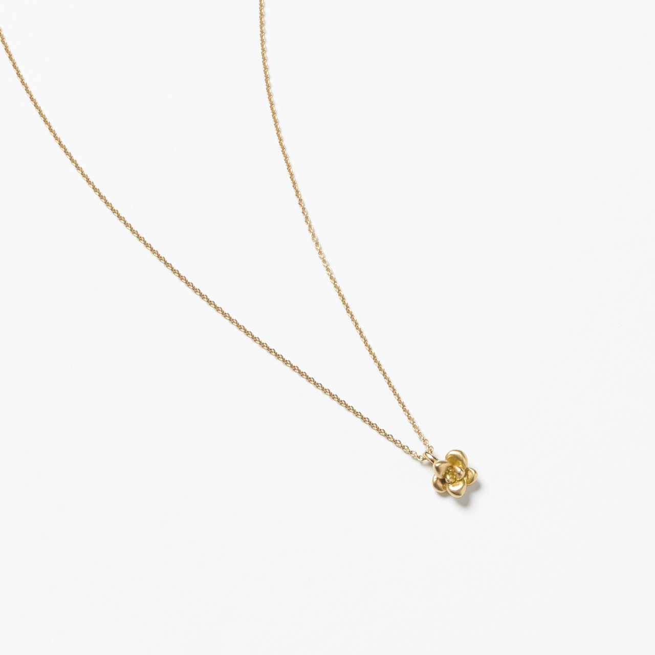 Sukkulenten Kette