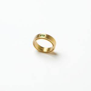 Ring doppelte Ringschiene