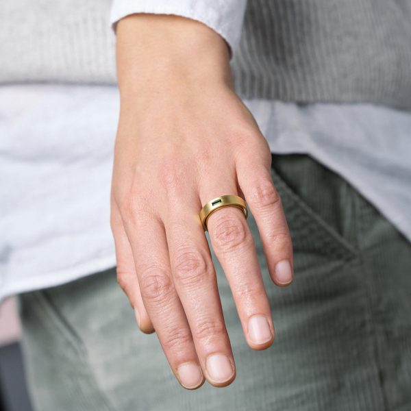 Ring doppelte Ringschiene – Bild 2